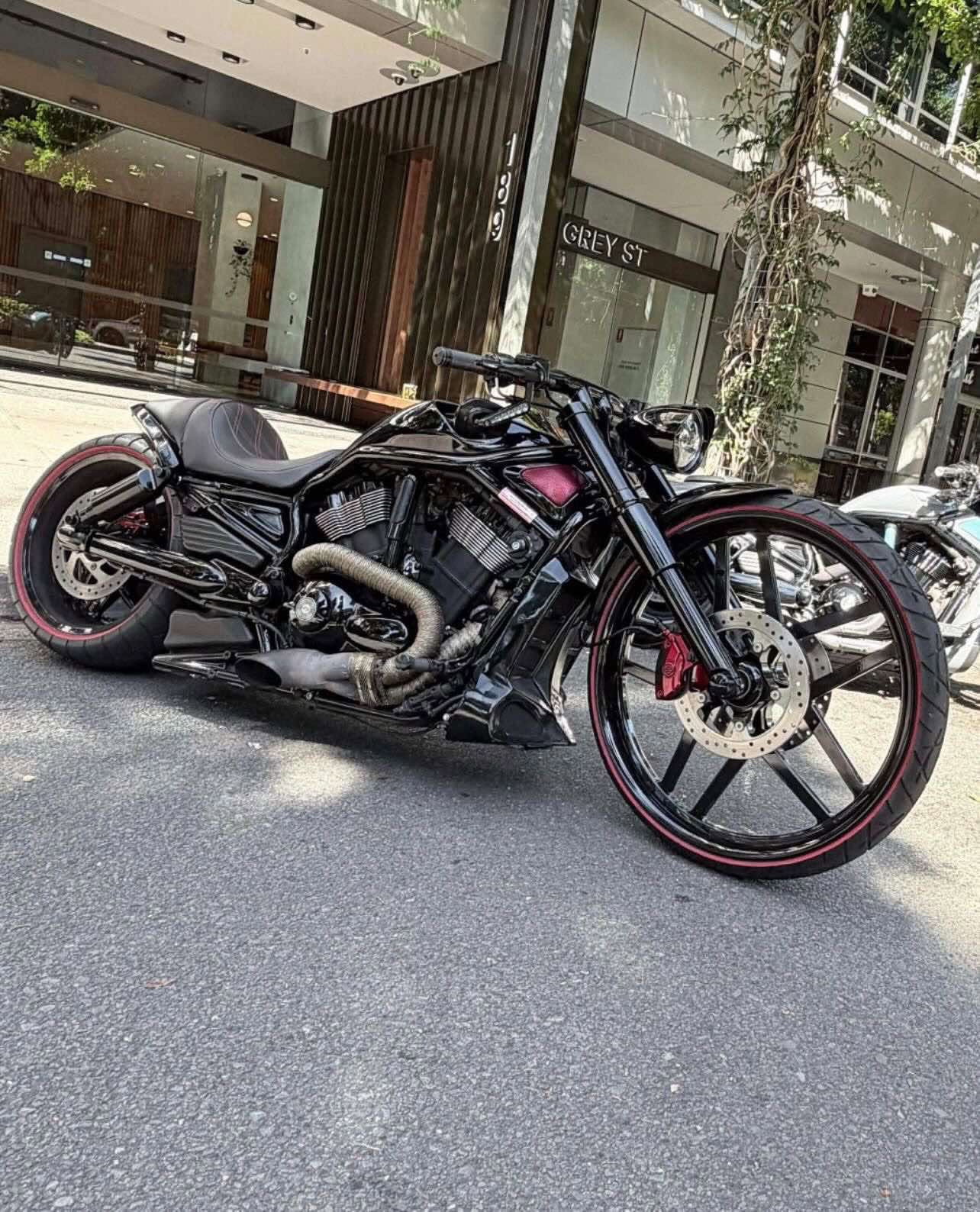 Custom V-Rod Build